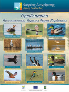 Ornithopanida Poster
